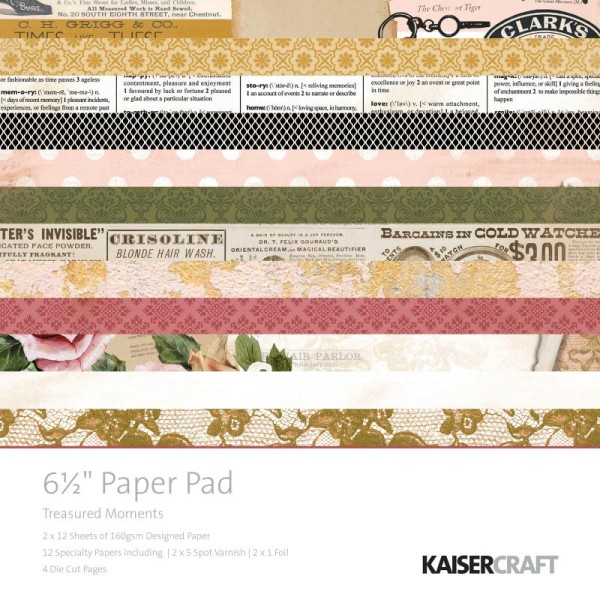 Papiers scrap Treasured -Kaiser Craft- 16,5 x 16,5 cm - 24 feuilles + Die Cut - Photo n°1