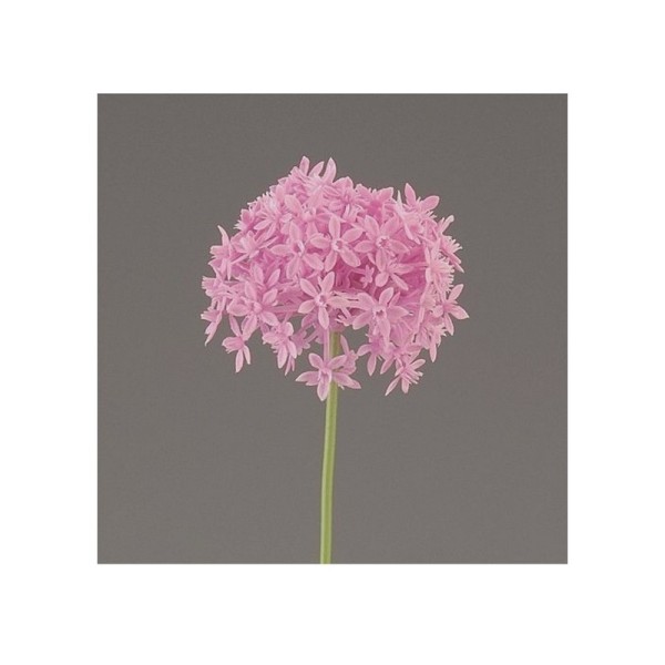 Fleur d'Allium Globemast Rose artificielle,  de 53 cm de haut - Photo n°1