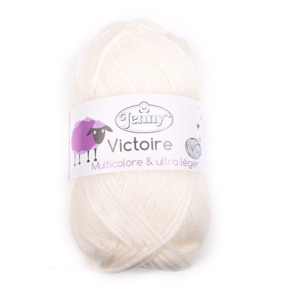 Fil à tricoter Jenny - VICTOIRE fil 74% acrylique 21% nylon 5% laine 150g - Fil hiver - Photo n°1