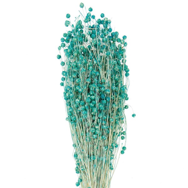 Fleurs séchées - Lin Turquoise - 100 g - Photo n°3