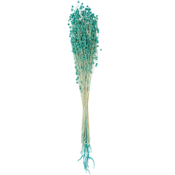 Fleurs séchées - Lin Turquoise - 100 g - Photo n°1