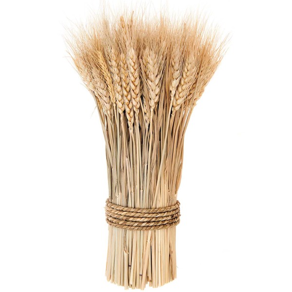 Faisceau de blé - Naturel - 30cm - Photo n°1