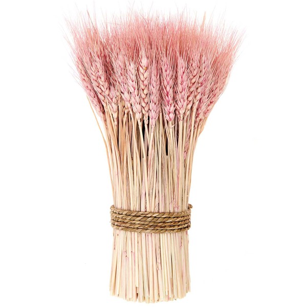 Faisceau de blé - Rose - 30cm - Photo n°1