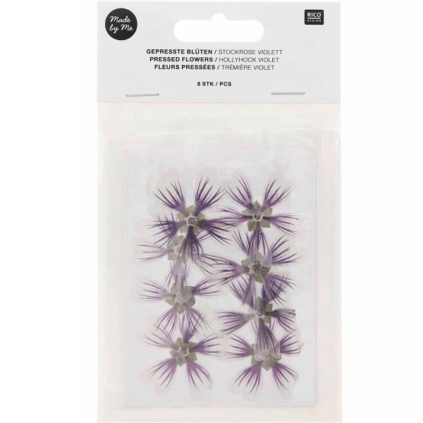 Fleurs pressées - Trémière violet - Ø 4 cm - 8 pcs - Photo n°1