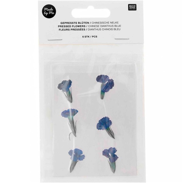 Fleurs pressées - Dianthus chinois bleu - 2,5 cm - 6 pcs - Photo n°1