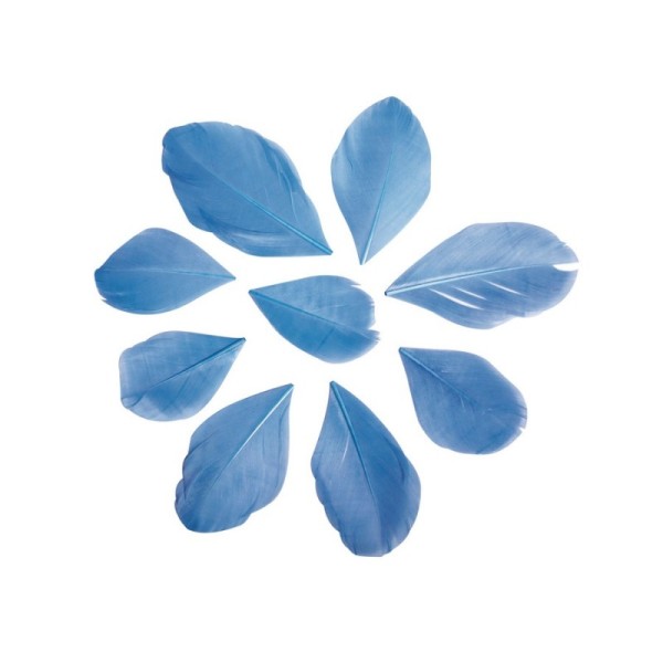 Lot d'env. 36 Plumes véritables coupées Bleu clair, Longueur 5-6 cm, pour Bijoux ou attrape rêve - Photo n°1