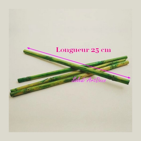 Lot de 12 longues Tiges de Bambou vert décoratif, long. env. 25 cm, diam. env. 1cm - Photo n°1