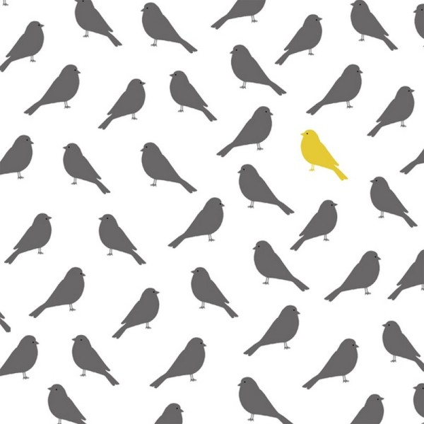 Lot de 20 Serviettes en papier Oiseaux gris et un Oiseau jaune, Fond blanc, 33 x 33 cm - Photo n°1