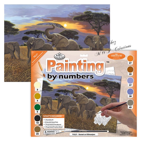 tableau peinture par numéros 
