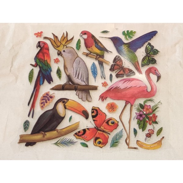 Transfert pour textile thème oiseaux exotiques ( perroquet, flamand rose, toucan) - 14cm - Photo n°1