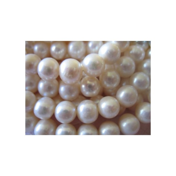 10 Perles de Culture d'Eau Douce Perles Blanc nacre - Photo n°1