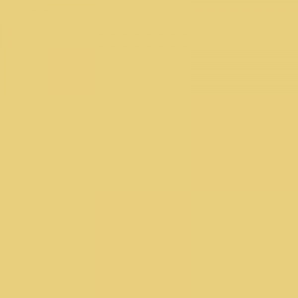 Peinture à l'huile extra-fine en tube jaune de naples foncé 40ml - Rembrandt - Photo n°2