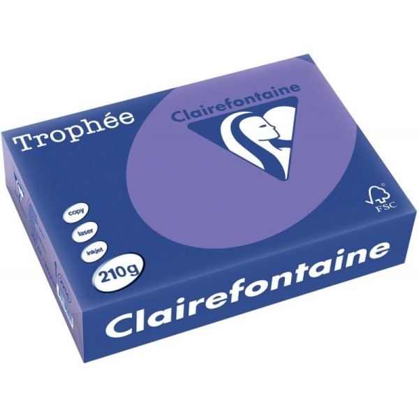 Papier Trophée 210G A4 250 Feuilles Violet - Clairefontaine - Photo n°1