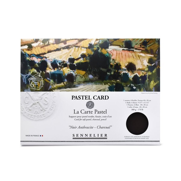 La Carte Pastel Noir Anthracite - 6Feuilles - 40X30Cm - Sennelier - Photo n°1