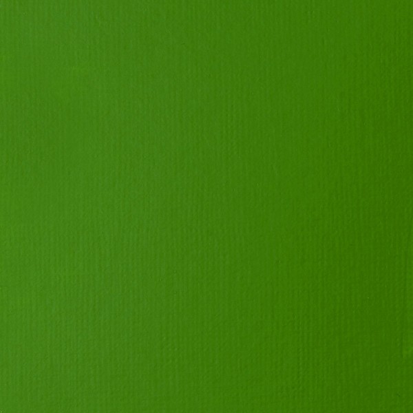 Peinture Acrylique en bidon - vert clair permanent - Liquitex Basics - Photo n°2