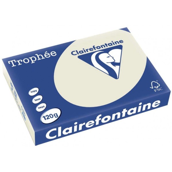250 Feuilles A4 - 120G - Couleurs Pastels - Gris Perle - Trophée Clairefontaine - Photo n°1
