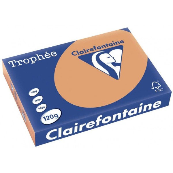 250 Feuilles A4 - 120G - Couleurs Pastels - Caramel - Trophée Clairefontaine - Photo n°1