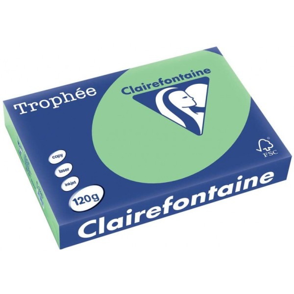 250 Feuilles A4 - 120G - Couleurs Pastels - Vert Nature - Trophée Clairefontaine - Photo n°1