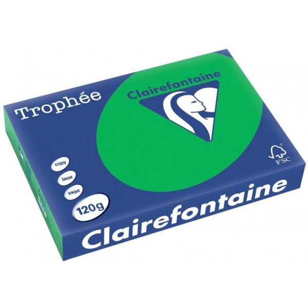 250 Feuilles A4 - 120G - Couleurs Vives - Vert Billard - Trophée Clairefontaine - Photo n°1