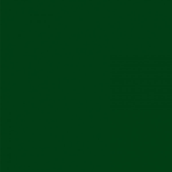 Peinture Acrylique en sachet - vert hooker - Sennelier - Photo n°2