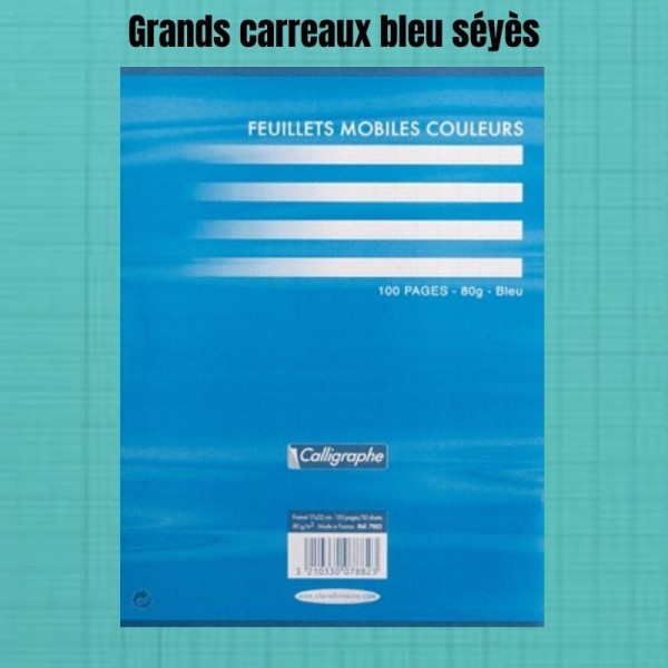 Feuillets Mobiles Bleu Perforées 17X22 Grands Carreaux Seyes 80G Clairefontaine - Photo n°1