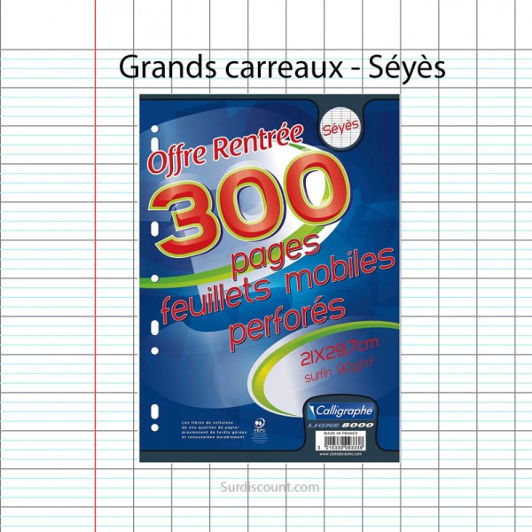 300 Feuillets Mobiles Perforées 21X29,7 A4 Grands Carreaux Seyes 90G Clairefontaine - Photo n°1