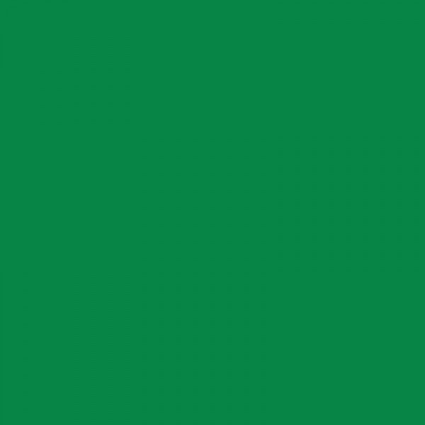 Protège-cahier opaque vert en PVC Format 17x22 cm Épaisseur 19/100ème Grain cuir - Photo n°2
