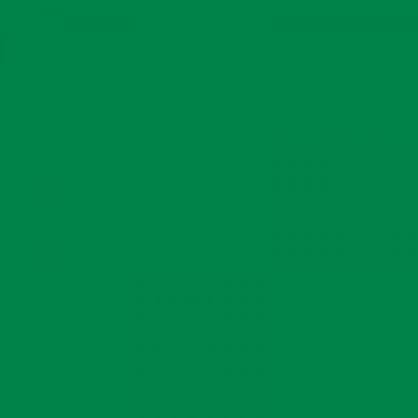 Ruban adhésif vert en polypropylène à déroulement silencieux - 19mmx33m - Photo n°2