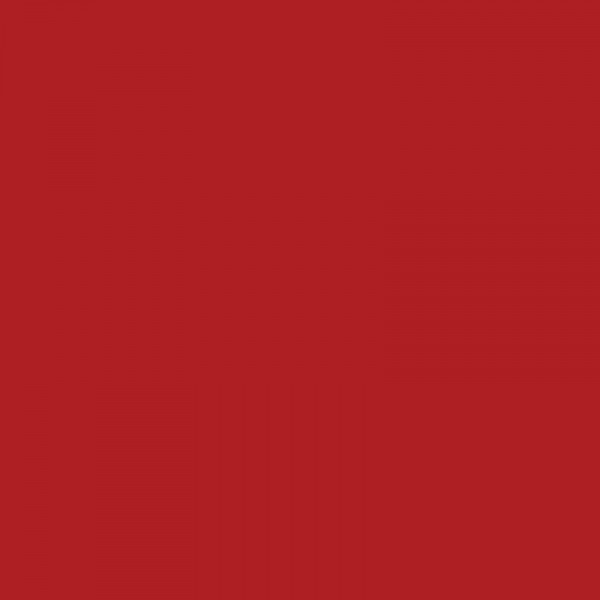 Protège-cahier opaque rouge en PVC Format 24x32 cm Épaisseur 19/100ème Grain cuir - Photo n°2