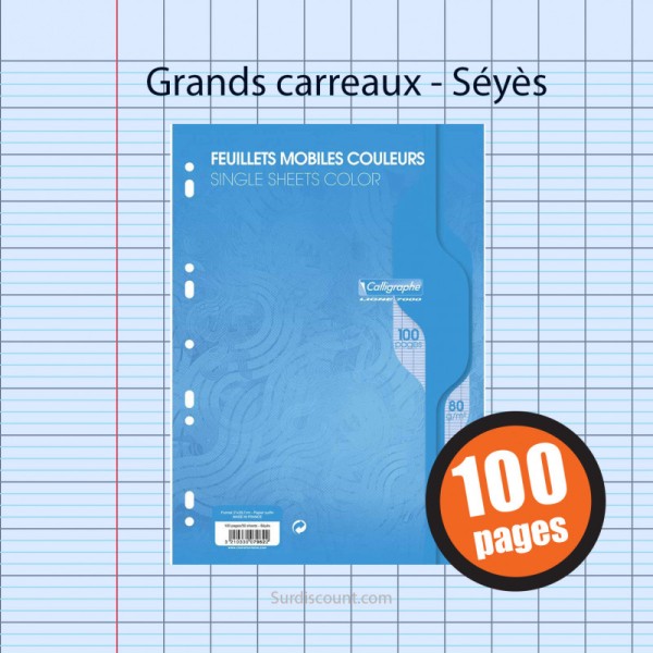 Feuillets Mobiles Perforées Bleu 21X29,7 A4 Grands Carreaux Seyes 90G Clairefontaine - Photo n°1