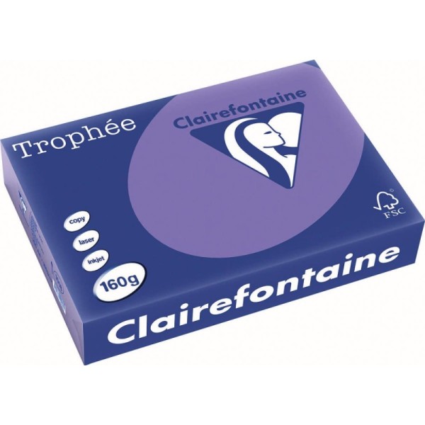 250 Feuilles A4 - 160G - Couleur Vives - Violine - Trophée Clairefontaire 1018C - Photo n°1