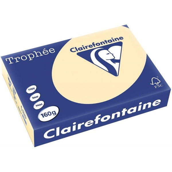 250 Feuilles A4 - 160 G - Chamois - Trophee Clairefontaine - 1040C - Photo n°1