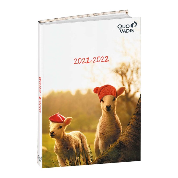 Eurotextagenda Potes à pattes Mouton , 2021/2022 - Agenda année