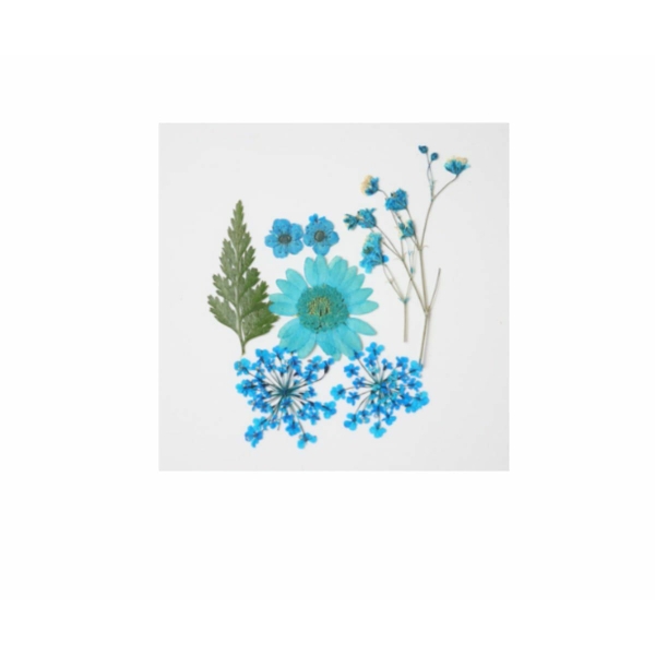 1pc Bleu Mélange Pressé Séché Fleur Feuille Ammi Plantes Sèches Époxy Uv Résine Pendentif Collier Na - Photo n°1